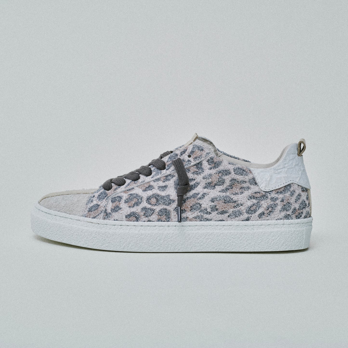 THE11 _ 14327 | Léopard