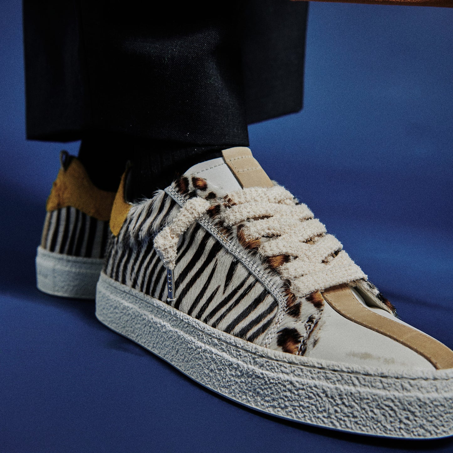 THE11 _ 16361 | Vertical Zebra