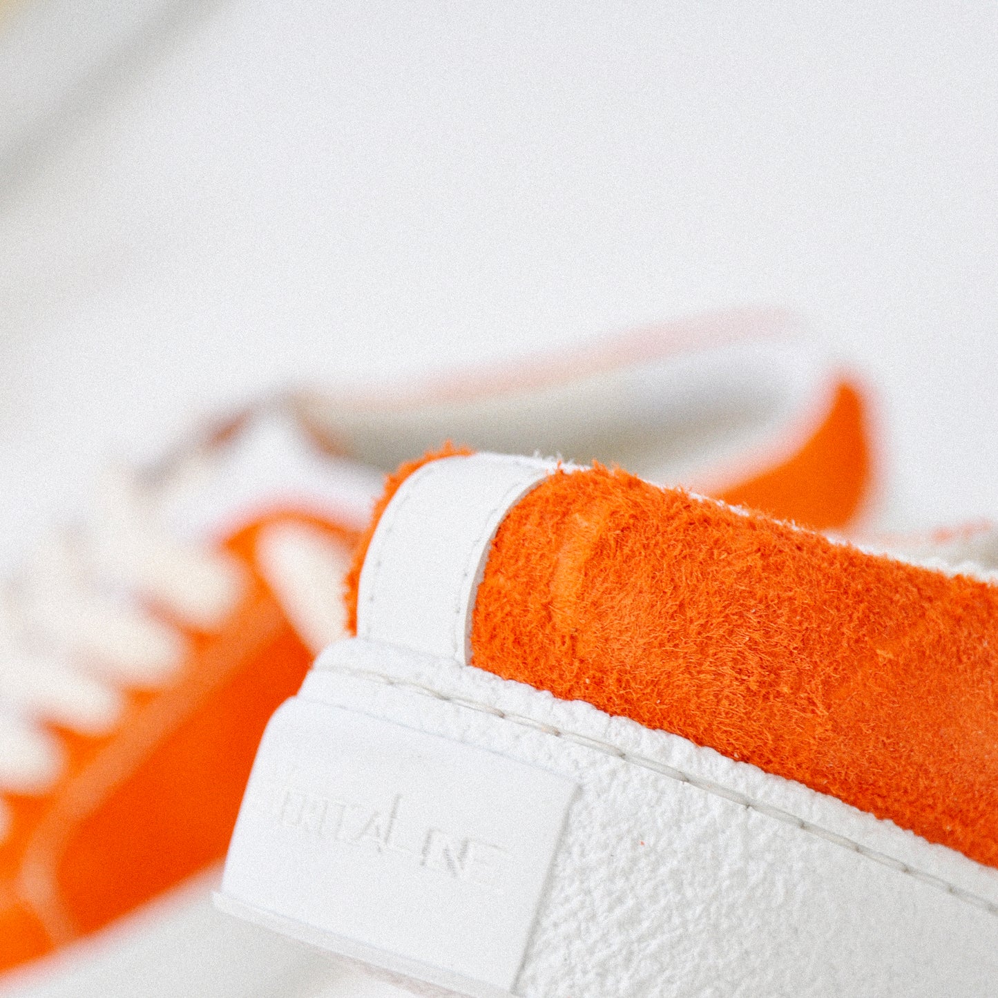 THE11S _ 15119 | Tropical Mix | Carrot