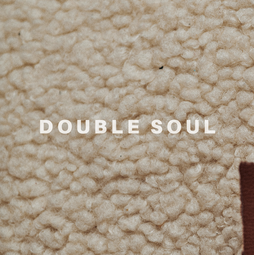 Double Soul