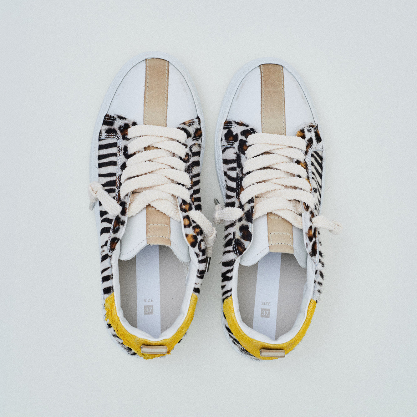 THE11 _ 16361 | Vertical Zebra