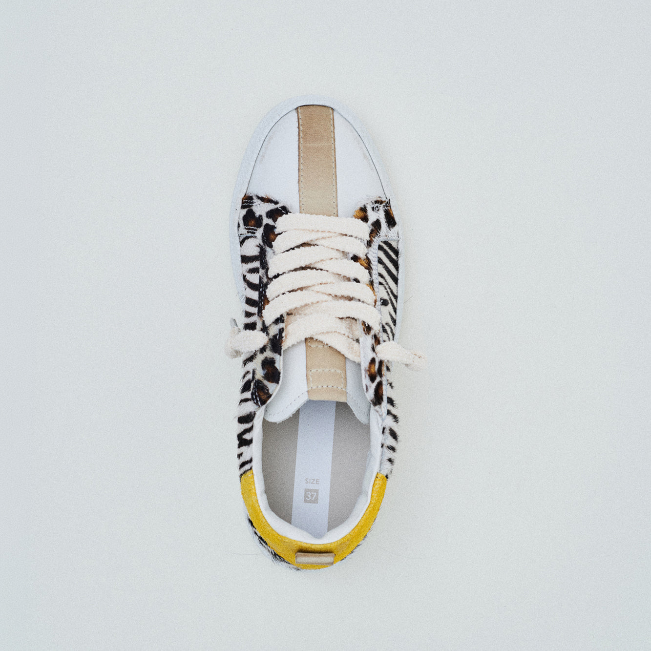 THE11 _ 16361 | Vertical Zebra