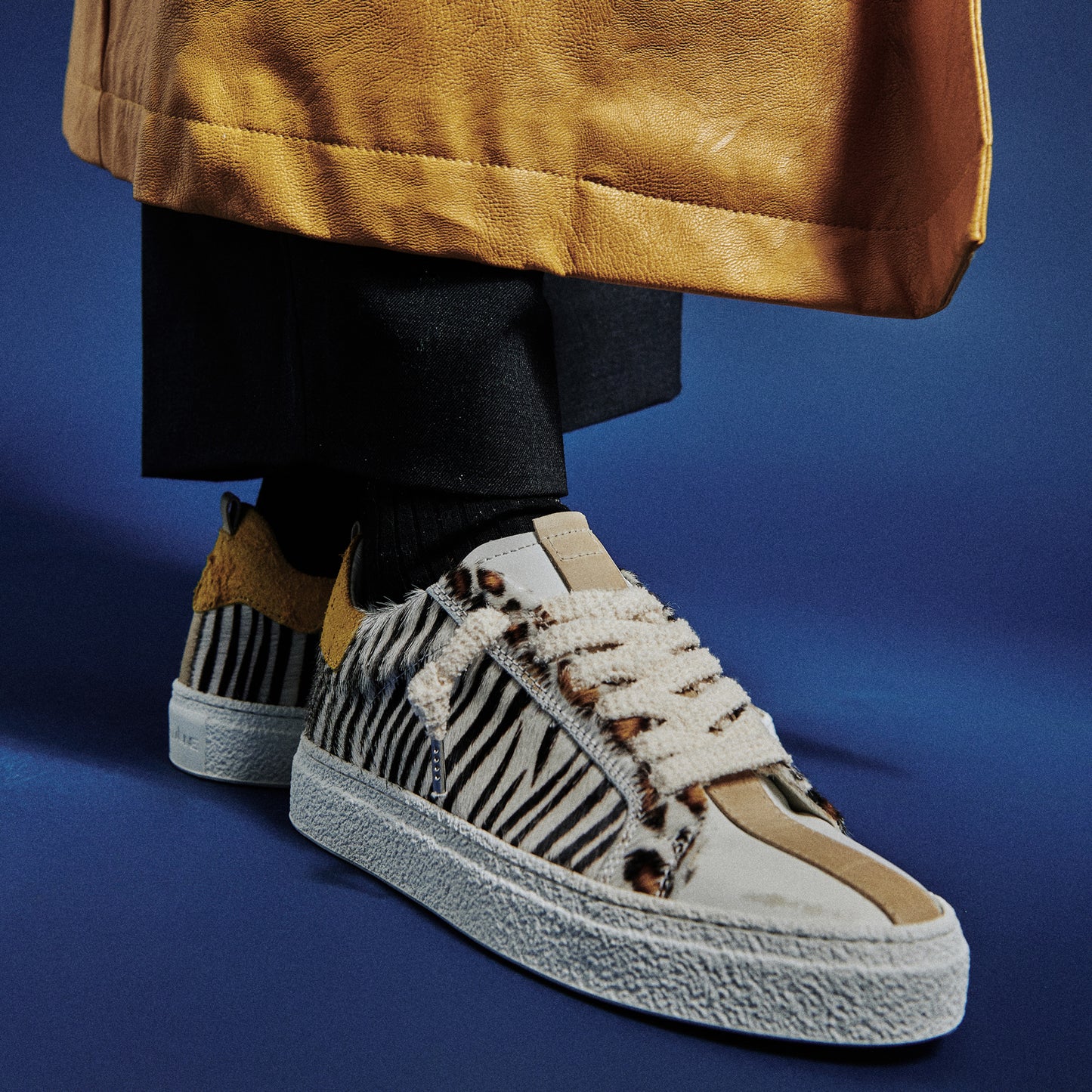 THE11 _ 16361 | Vertical Zebra