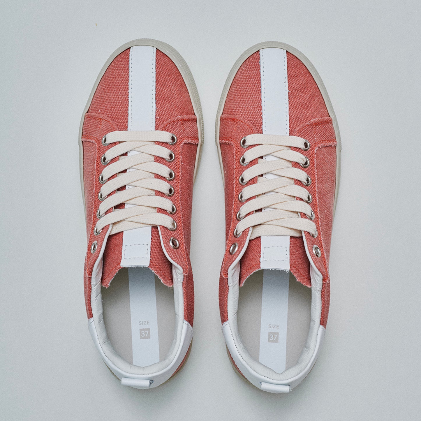 THE11 _ 15351 | Coral