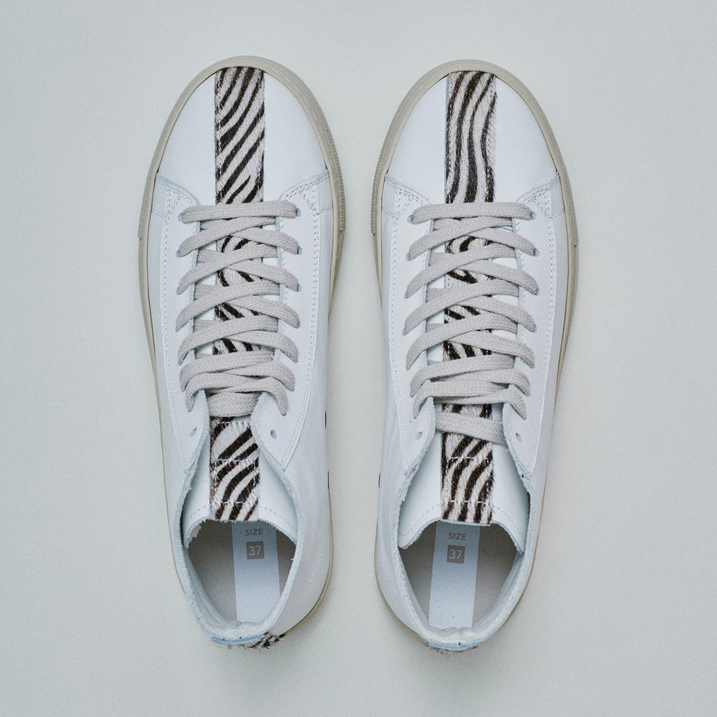 THE12 _ 15283 | Zebra
