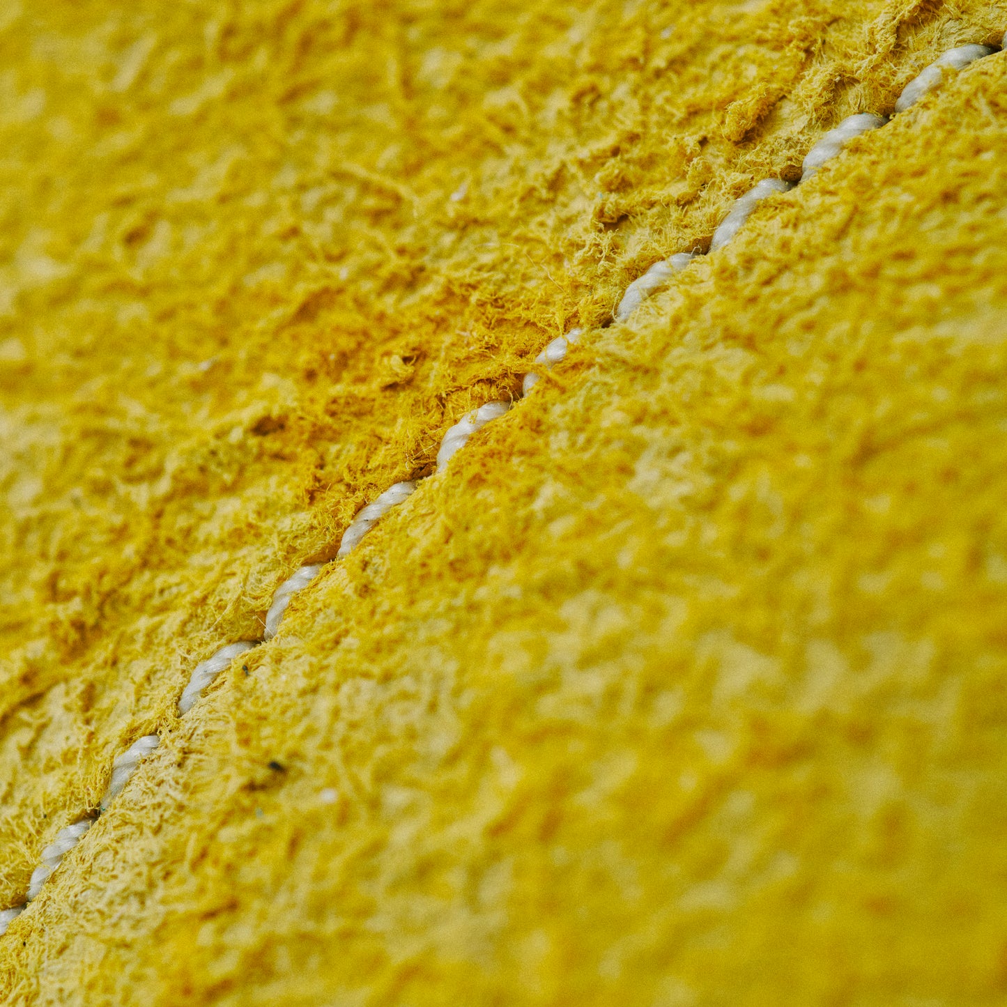 THE12 _ 15282 | Tropical Mix | Corn