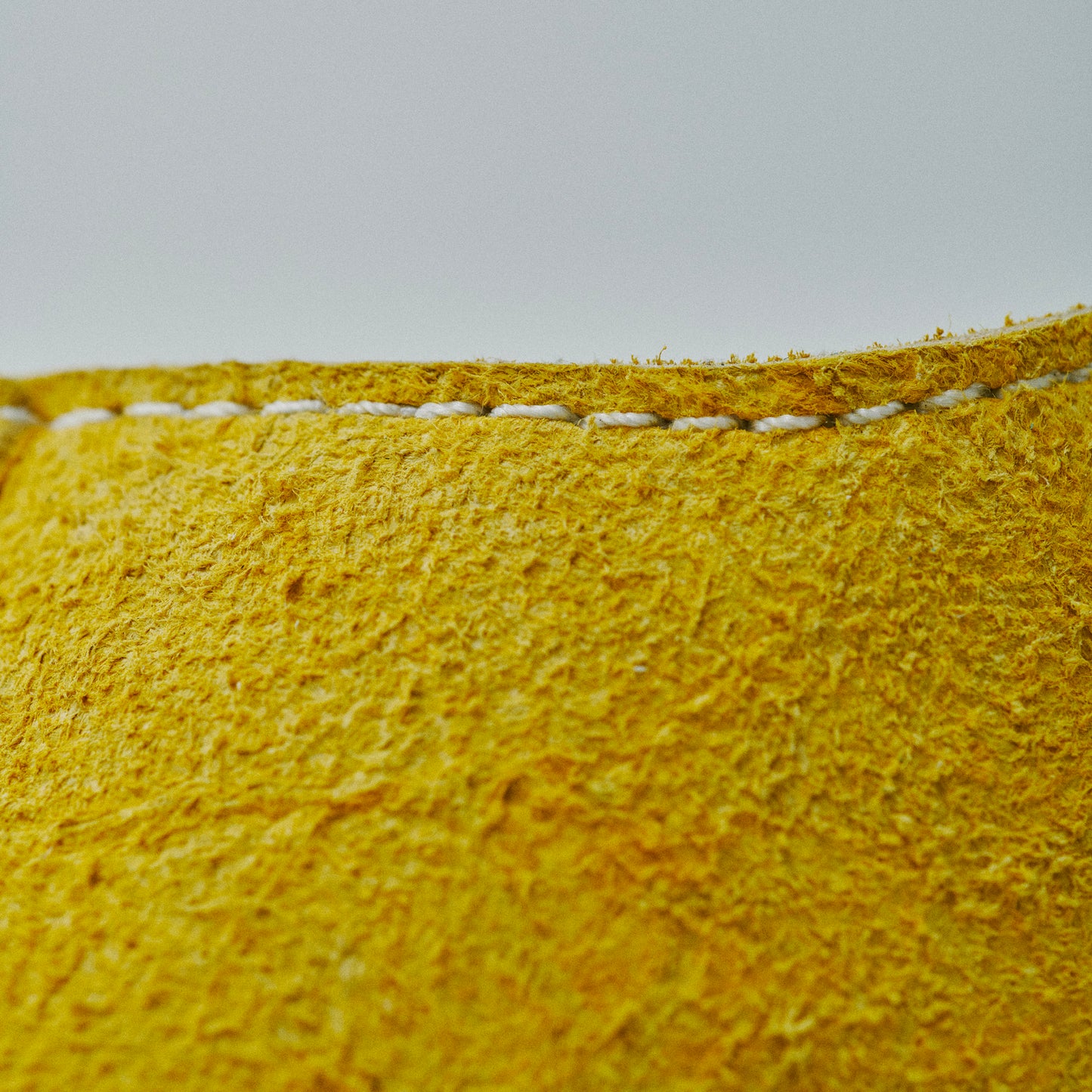 THE12 _ 15282 | Tropical Mix | Corn